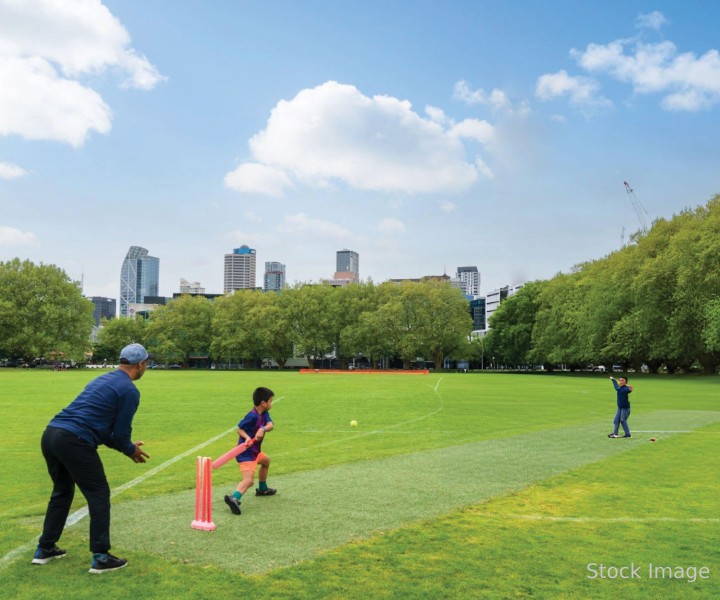 Cricket Turf